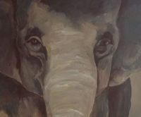 00918_Grooosser_Elefant